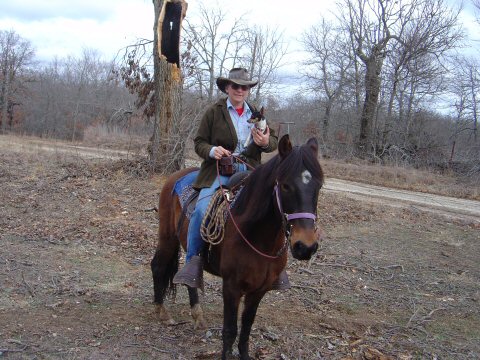 Nadine and Rat Terrier, Missy, riding Peruvian Paso gelding, Lattie